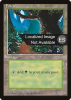 Forest - Fourth Edition Foreign Black Border #377
