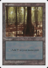Swamp - Fifth Edition #439