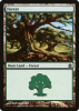Forest - Magic: The Gathering-Commander #315