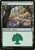 Forest - Throne of Eldraine #268
