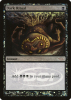 Dark Ritual - Judge Gift Cards 2009 #1