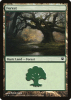 Forest - Innistrad #264