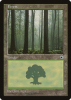 Forest - Portal #214