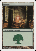 Forest - Salvat 2005 #B12