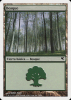 Forest - Salvat 2005 #B34