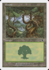 Forest - Starter 1999 #170